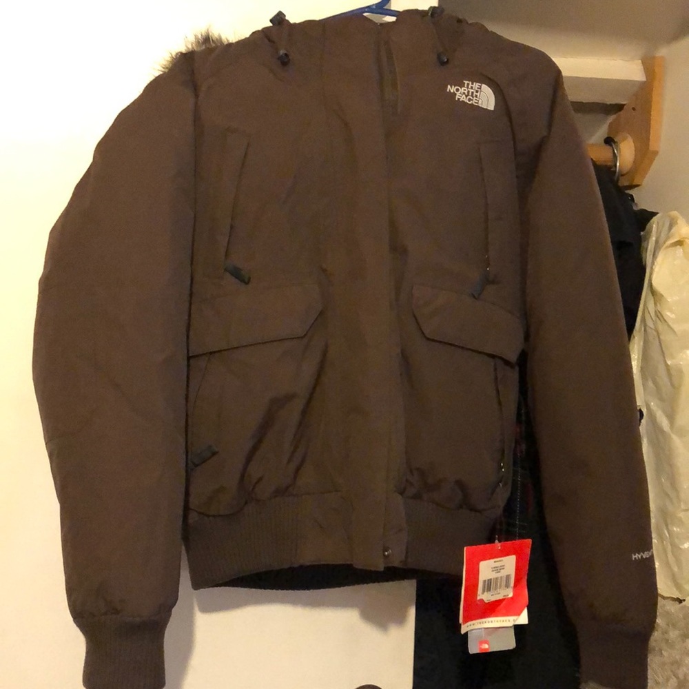 The north face coat